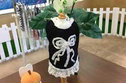 岩手県花巻市のドッグサロンMINT/プルオーバー（S＋M）