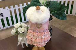 岩手県花巻市のドッグサロンMINT/セレブリティワンピース（M）