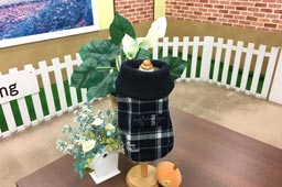 岩手県花巻市のドッグサロンMINT/ロイヤルチェックマントコート（M）