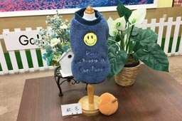 岩手県花巻市のドッグサロンMINT/スマイルボアジャケット（M）