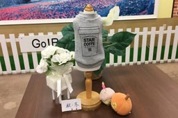 岩手県花巻市のドッグサロンMINT/STARカフェトレーナー（S）