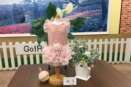 岩手県花巻市のドッグサロンMINT/カメリアリボンワンピース（S＋M）