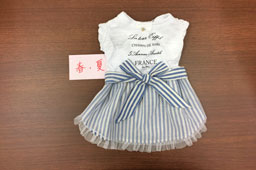 岩手県花巻市のドッグサロンMINT/ナチュラルフレンチワンピース（M）