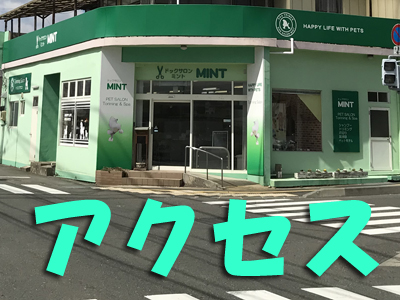 岩手県花巻市のトリミング・ドッグサロン MINT（ミント）/アクセス